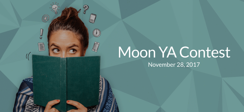 Screenshot 2017-11-28 13.58.15